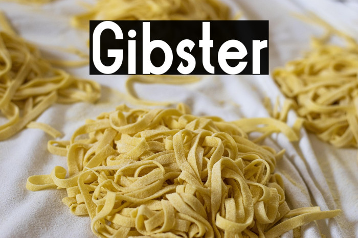Gibster Example 1