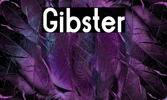 Gibster Example 2