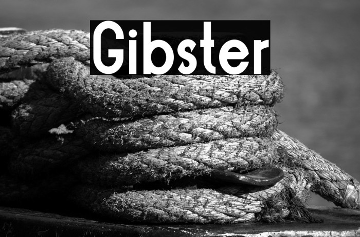 Gibster Example 3