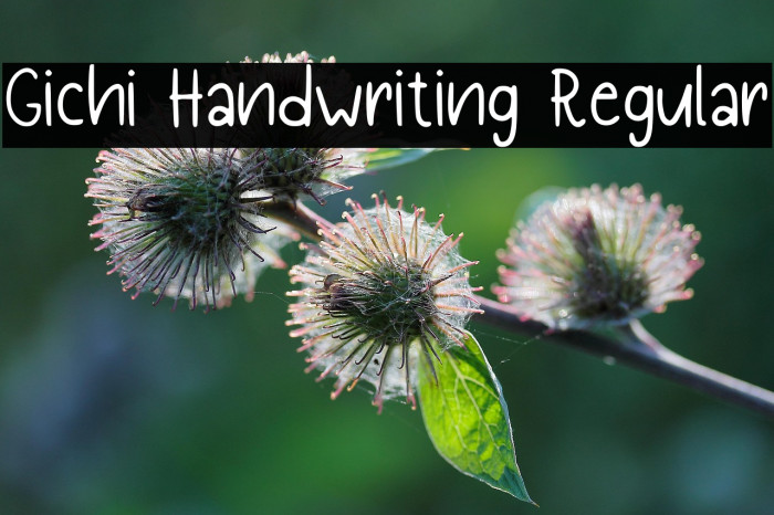 Gichi Handwriting Regular Example 1