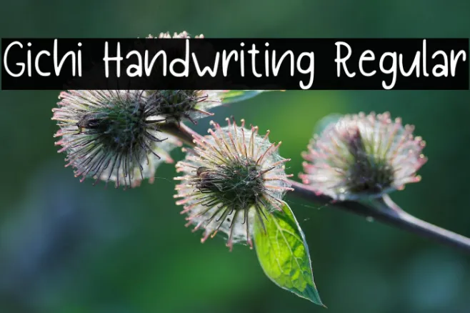 Gichi Handwriting Regular Example 1