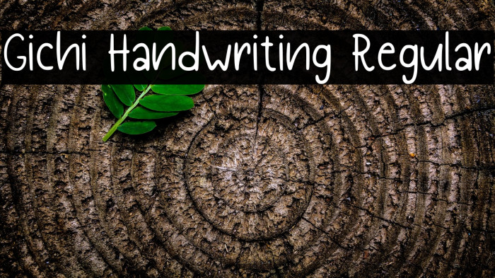 Gichi Handwriting Regular Example 2