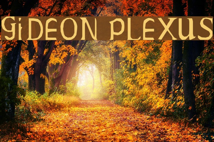 Gideon Plexus Font examples