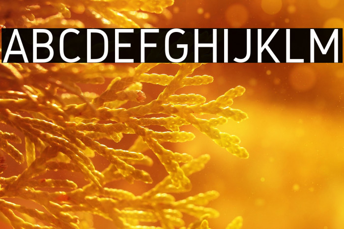 Gidole Regular Example 2