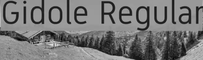 Gidole Regular Font examples