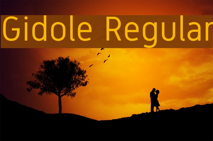 Gidole Regular Font examples