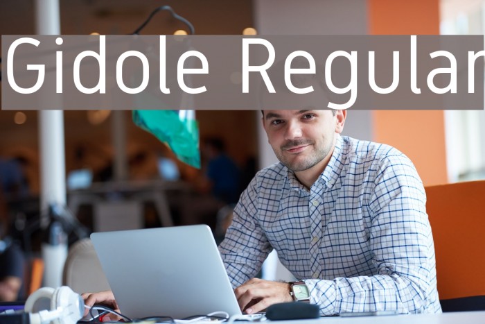 Gidole Regular Font examples