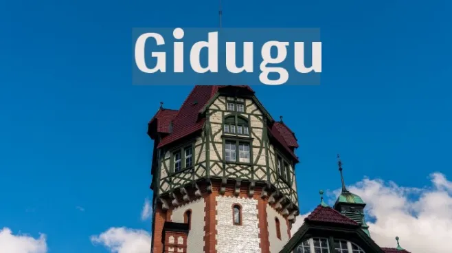 Gidugu Example 1