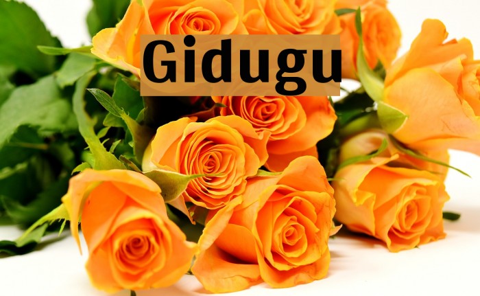 Gidugu Font examples