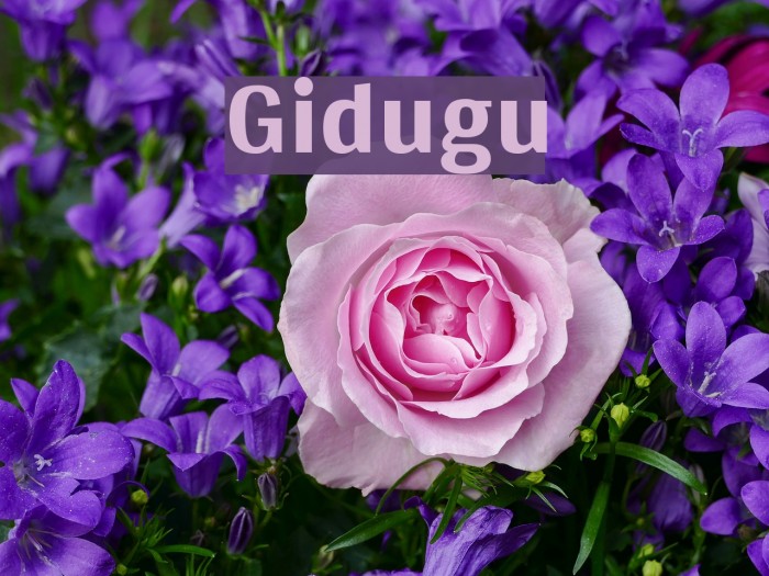 Gidugu Font examples