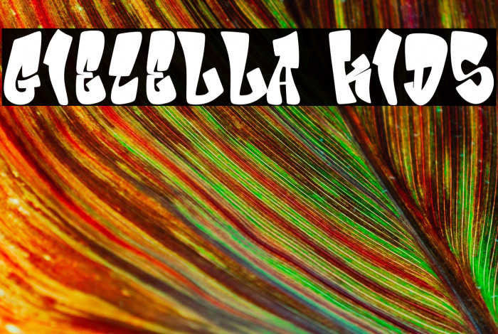 Giecella Kids Example 3