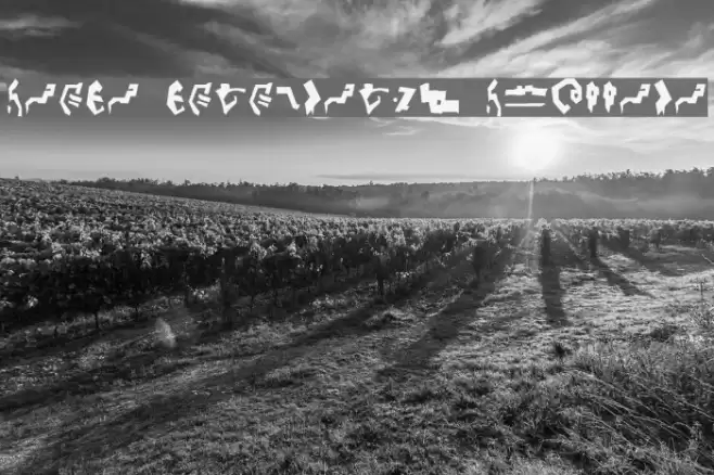 Giedi Decepticon Graffiti Font examples