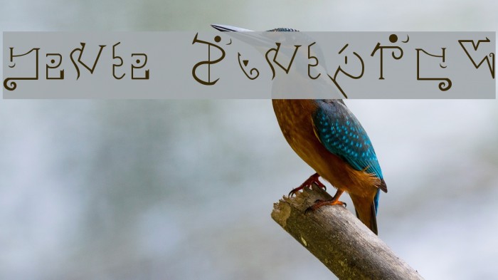 Giedi Predacon Font examples