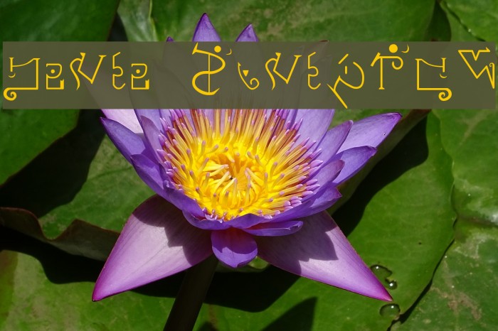 Giedi Predacon Font examples