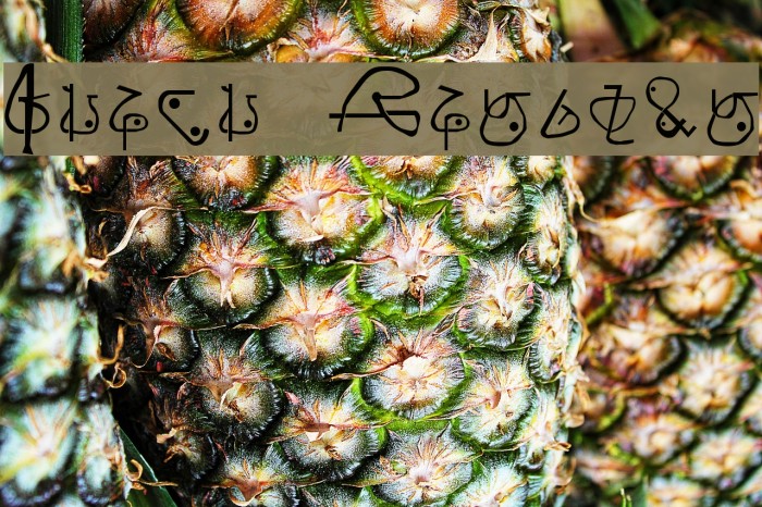 Giedi Zentran Font examples