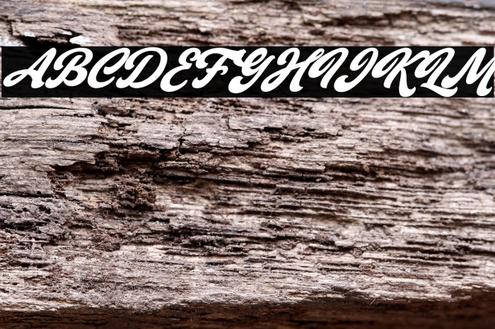 Gient Italic Example 3