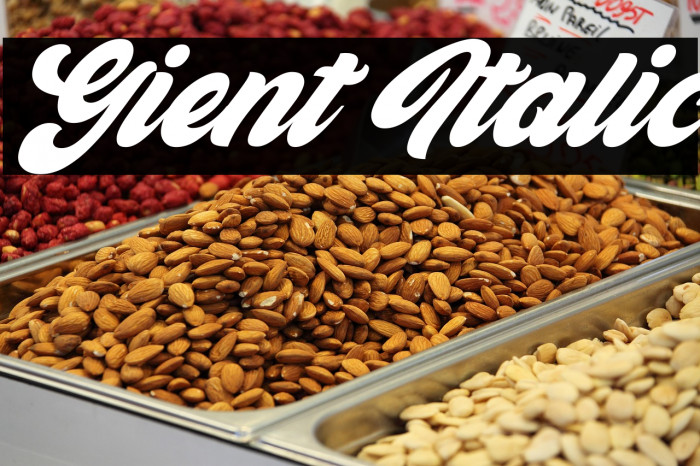 Gient Italic Example 3