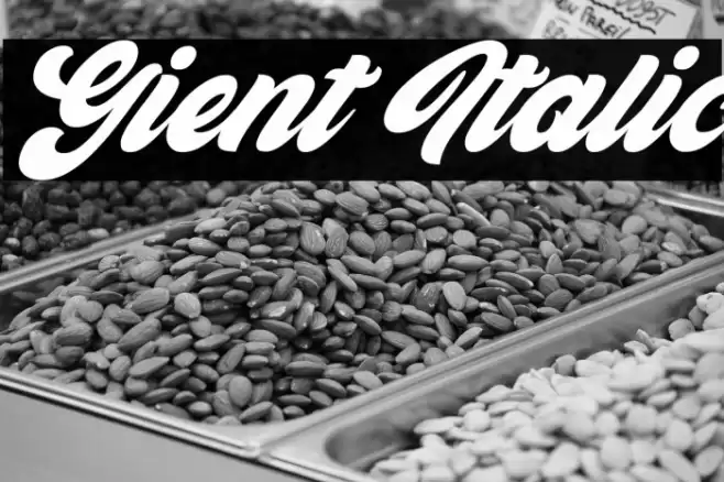 Gient Italic Font examples