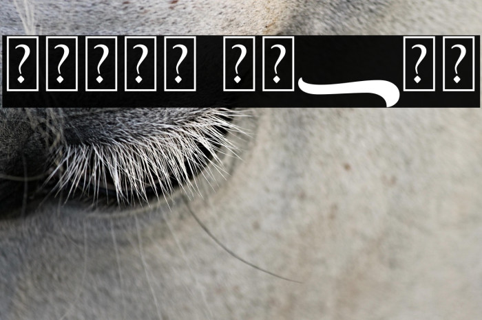 Gient Swash Example 3