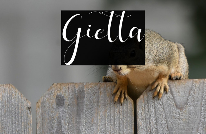 Gietta Example 3