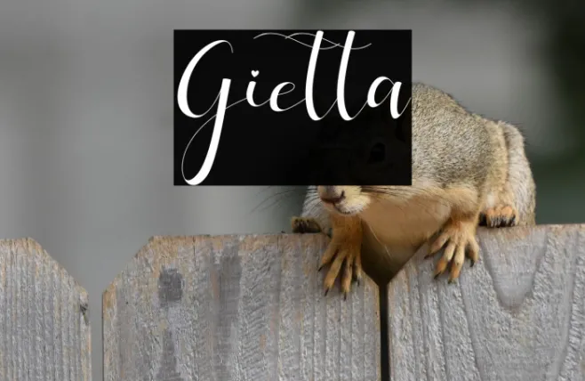 Gietta Example 3
