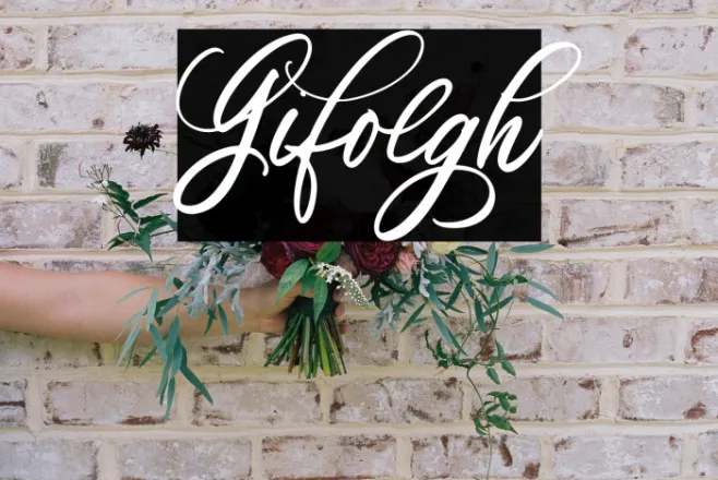 Gifolgh Example 1