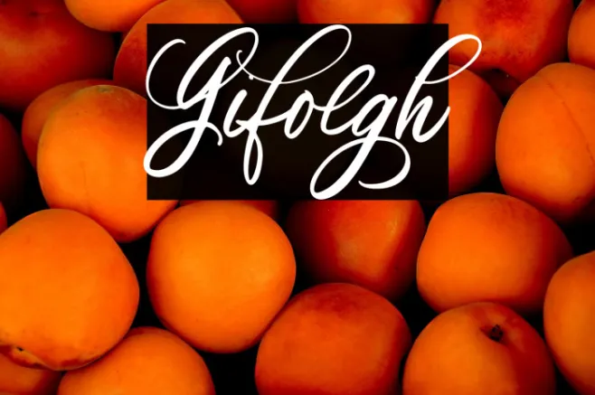 Gifolgh Example 2