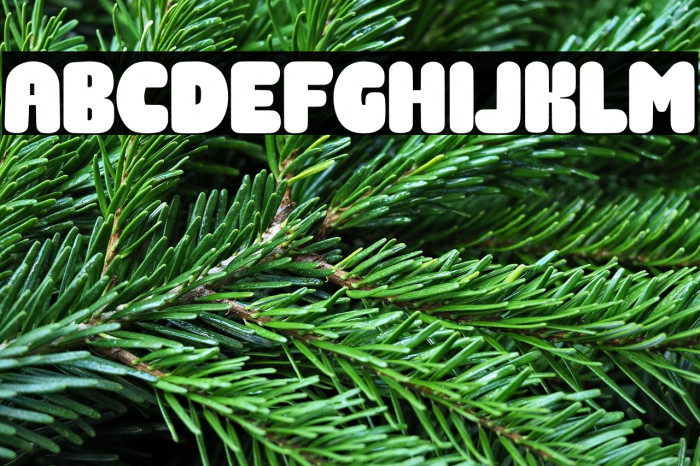 Gift Giving Example 1