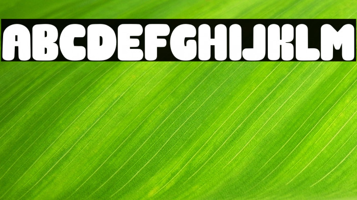 Gift Giving Example 2