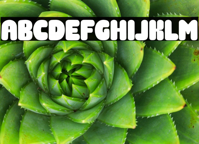 Gift Giving Example 3