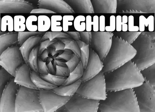 Gift Giving Font examples