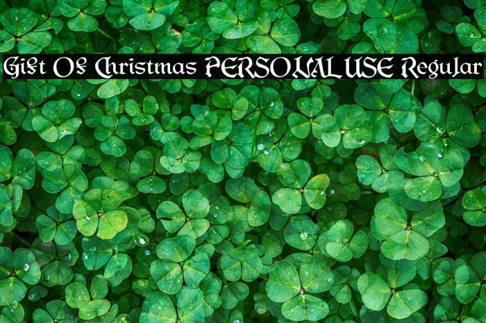 Gift Of Christmas PERSONAL USE Regular Example 1