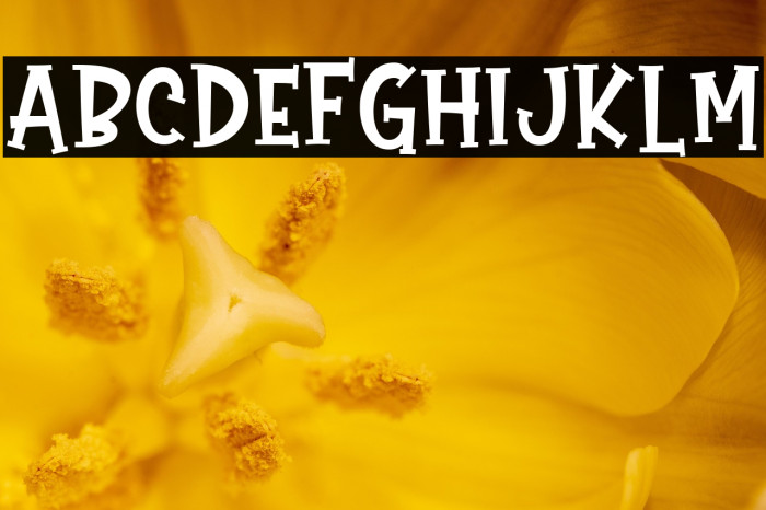 Gift Of Love Example 2