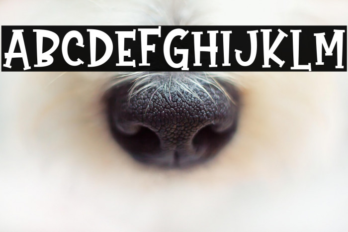 Gift Of Love Example 3