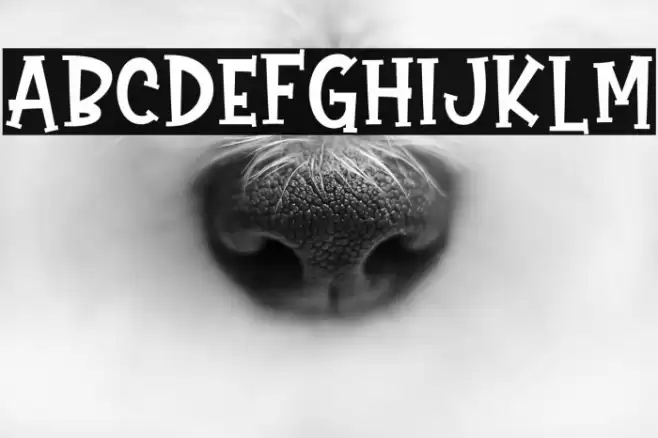 Gift Of Love Font examples