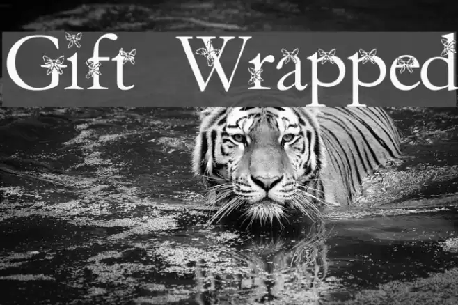 Gift Wrapped Schriftart examples