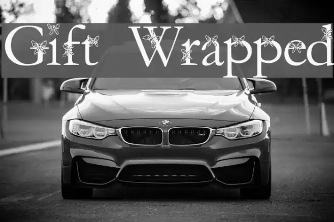 Gift Wrapped Schriftart examples
