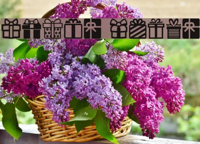 Gifts Icons Example 1