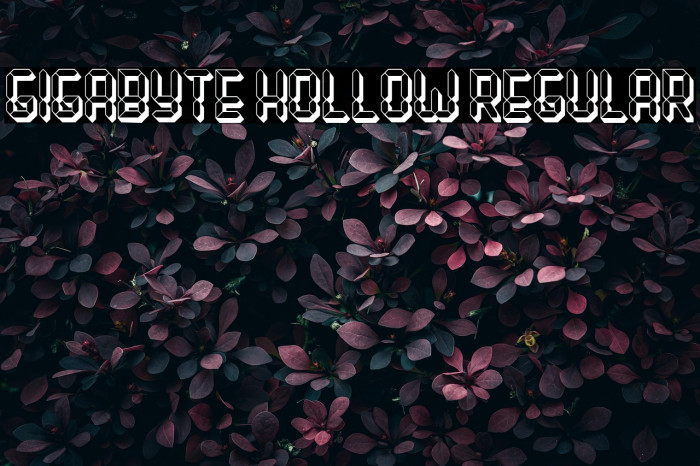 Gigabyte Hollow Regular Example 3