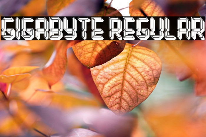 Gigabyte Regular Example 2