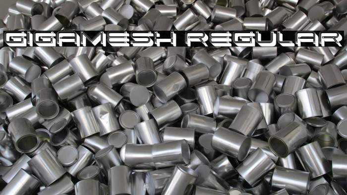 Gigamesh Regular Example 1