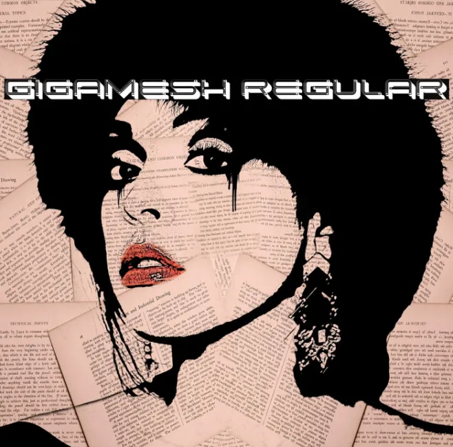 Gigamesh Regular Example 2
