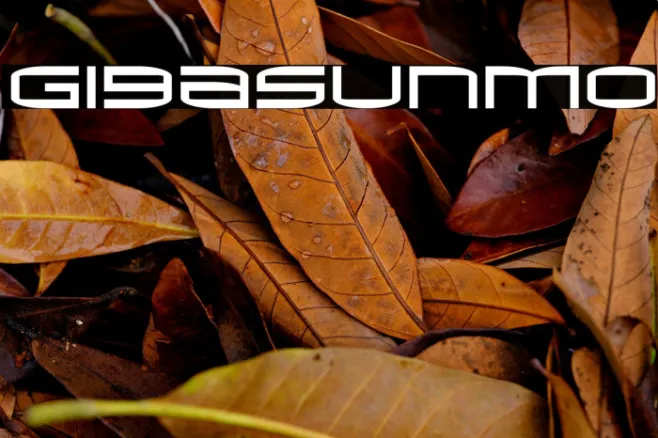 Gigasunmo Example 2