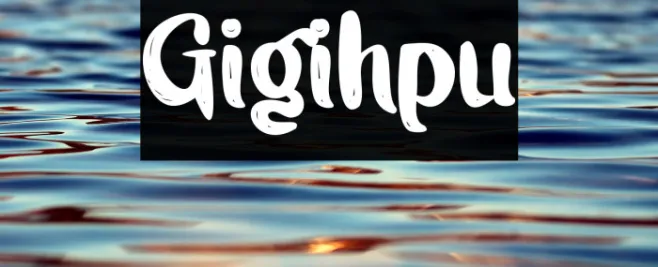 Gigihpu Example 2