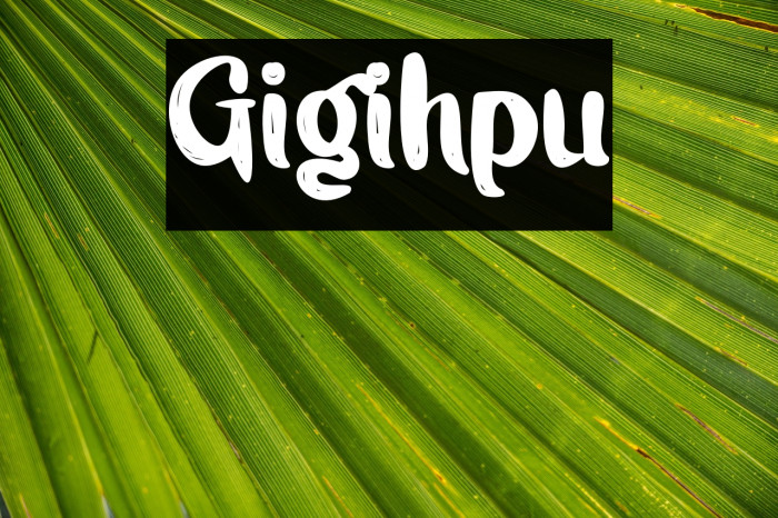 Gigihpu Example 3