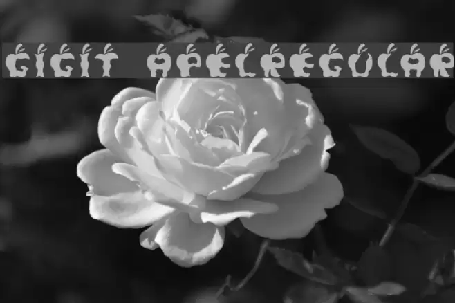 Gigit ApelRegular Font examples