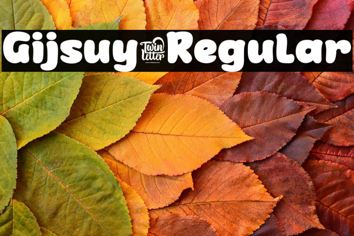 Gijsuy-Regular Example 1