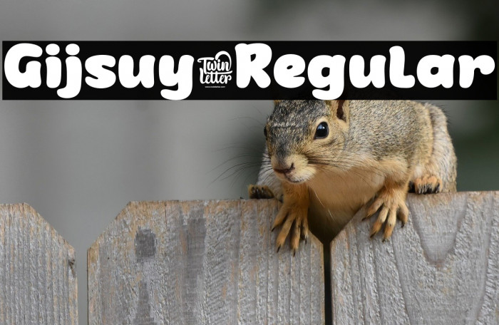 Gijsuy-Regular Example 2