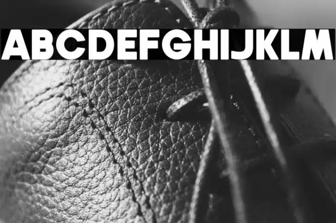 Gila Bold Font examples