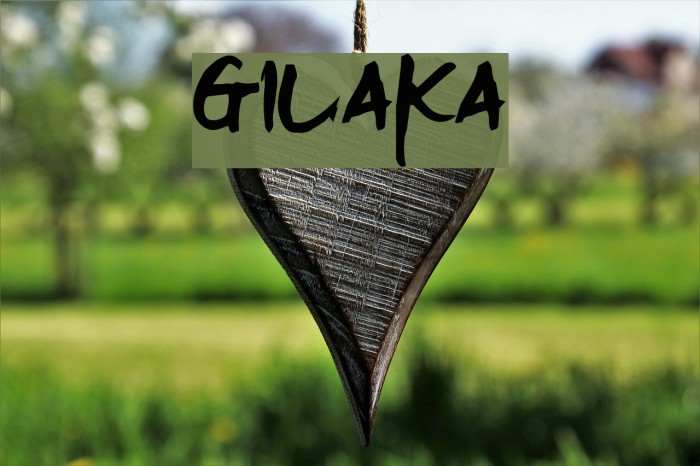 Gilaka Font examples
